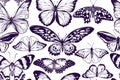 Artistic seamless pattern with morpho menelaus, morpho rhetenor cacica, cethosia biblis, papilio antimachus, alcides Royalty Free Stock Photo