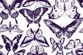 Artistic seamless pattern with ornithoptera croesus lydius, graphium weiskei, ambulyx pryeri, salamis parhassus