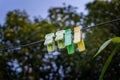 Artistic Shot: Empty Cloth Clips Against Greenery in Dehradun, Uttarakhand