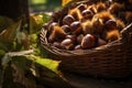 Artistic shots of fresh chestnuts spilling out of a rustic basket, highlighting their natural beauty. Generative Ai