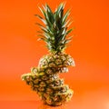 Artistic sliced, standing pineapple on orange background, square shot