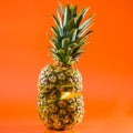 Artistic sliced, standing pineapple on orange background, square shot