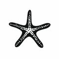 Artistic starfish displaying intricate dotted pattern against plain background in a silhouette Royalty Free Stock Photo