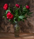 Artistic still life with peonies in vase