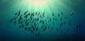 Schools of fish in rays of light Royalty Free Stock Photo