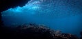 Artistic underwater photography of rays of sunlight and school of fish over a coral reef