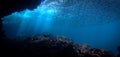 Artistic underwater photography of rays of sunlight and school of fish over a coral reef