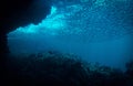 Artistic underwater photography of rays of sunlight and school of fish over a coral reef