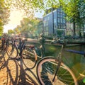 Artistic view of Amsterdam. Early morning. Traditional Bicycles and Old Houses. The real sun shines through the trees and creates