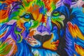 Artistic walls with colorful lion paintings graffiti Playa del Carmen