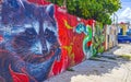 Artistic walls raccoon snake paintings graffiti Playa del Carmen Mexico