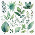 Artistic Watercolor Green Leaves Set: Greenery, Foliage, and Natural Herbs in a Decorative Watercolor Style. Generative AI