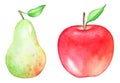 Artistic watercolor illustration of the apple and pear.