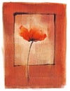 Artistic watercolor single poppy