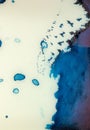 Artistic watercolor test tryout splash spots on white plastic palette