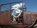 Cow bones driving a rusty jalopy near Great Basin National Park. Royalty Free Stock Photo