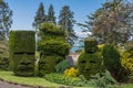 Artistically cut hedges near Whitehouse Bay, Edinburgh, Scotland