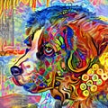 Cute Abstract Impressionist Newfoundland Dog Portrait Painting