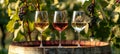 Artistically displayed white, rose, and red wines on wooden barrel in charming vineyard