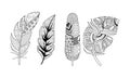 Artistically drawn feathers set, vintage, tribal, stylized feathers, pattern for coloring page vector Illustration on a