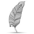 Artistically drawn, stylized, vector feather on a white background. Vintage tribal feather. Royalty Free Stock Photo