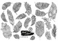 Artistically drawn, stylized, vector set of boho feathers on a white background. Vintage tribal feather.