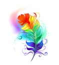 Rainbow fluffy feather on white background