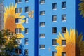 Artistically painted house, skyscraper reaching for the sky, with sunflower blossoms on blue house wall, windows, mural painting,