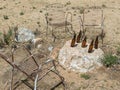 Yard art, chairs and bottles Royalty Free Stock Photo