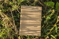 Hand hold on the brown notebook with natural light in garden outdoor at Chiang Ma,Thailand.