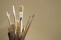 Artists paint brushes Royalty Free Stock Photo