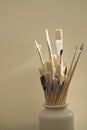 Artists paint brushes Royalty Free Stock Photo