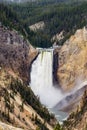 Artists point waterfall - Yellowstone National Park Royalty Free Stock Photo