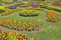 The artly decorated flower beds Royalty Free Stock Photo