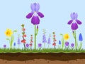 Artoon field flowers, green grass and earth layers on blue background vector illustration. Pink, chamomile and lavender