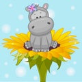 ÃÂ¡artoon Hippo Royalty Free Stock Photo