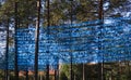 artwork with blue ribbons in the forest representing water