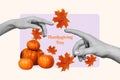 Artwork collage of two black white colors arms fingers reach touch connect mini pile stack pumpkin fallen maple leaves