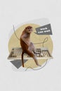 Artwork 3d collage sketch of exotic animal monkey sitting keyboard say work can wait postpone duties isolated on drawing