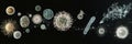 Evolving sequence of bacteria showcasing diversity and transformation in microscopic life forms. Generative AI