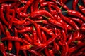 Hot chili peppers depicted in contrast against a dark background. The juicy, red peppers create a visual effect.