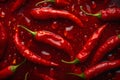 Hot chili peppers depicted in contrast against a dark background. The juicy, red peppers create a visual effect.