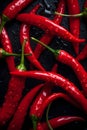 Hot chili peppers depicted in contrast against a dark background. The juicy, red peppers create a visual effect.