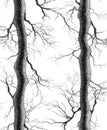 Silhouettes of long individual twigs Royalty Free Stock Photo