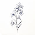 Delicate Blue Flower Drawing On White Surface - Detailed Illustrations