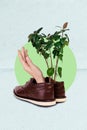 Artwork magazine collage picture of office plant arm growing man shoes isolated drawing background