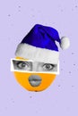 Artwork magazine picture of citrus funny lady eyes mask x-mas hat pouted plump lips isolated drawing background