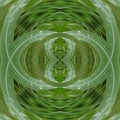 Artwork pattern  is designed based on a drop on grass leaf. Royalty Free Stock Photo