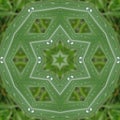 Artwork pattern  is designed based on a drop on grass leaf. Royalty Free Stock Photo