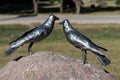 Artwork with two metal birds on stone, Pikeliai, Lithuania